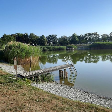 Weissenbacherhof Oslip Esterno foto