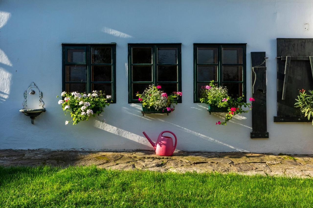 Weissenbacherhof Oslip Esterno foto